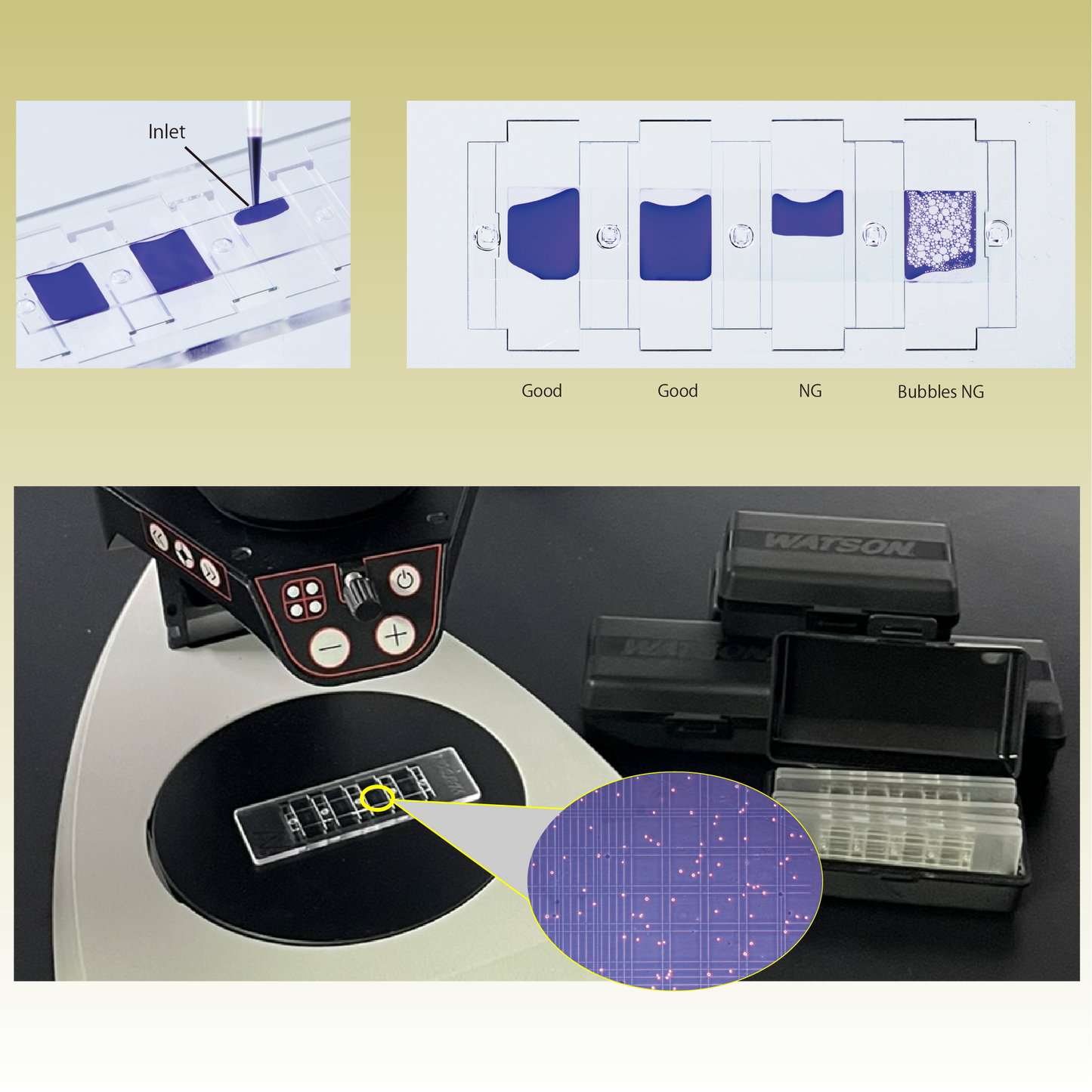 Disposable Hemacytometer "Cell counting plate", Improved Neubauer Type "177-112C" (10 plates)