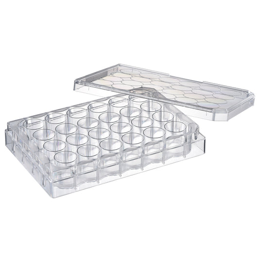 Cell Culture Plate 24-well, Adherent Cell, Sterilzed "197-24CPS" (50 pieces)