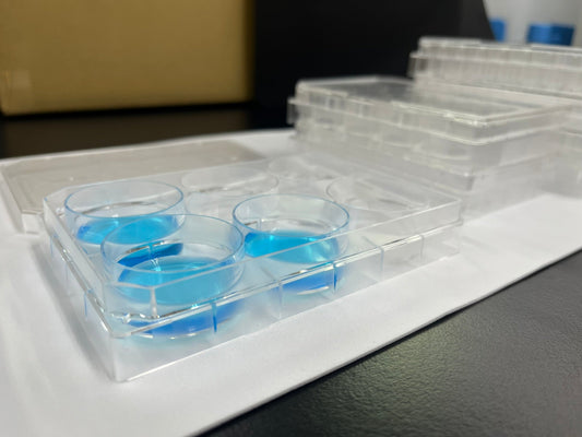 — A Practical Look at the WATSON 197 Series Cell Culture Plates —