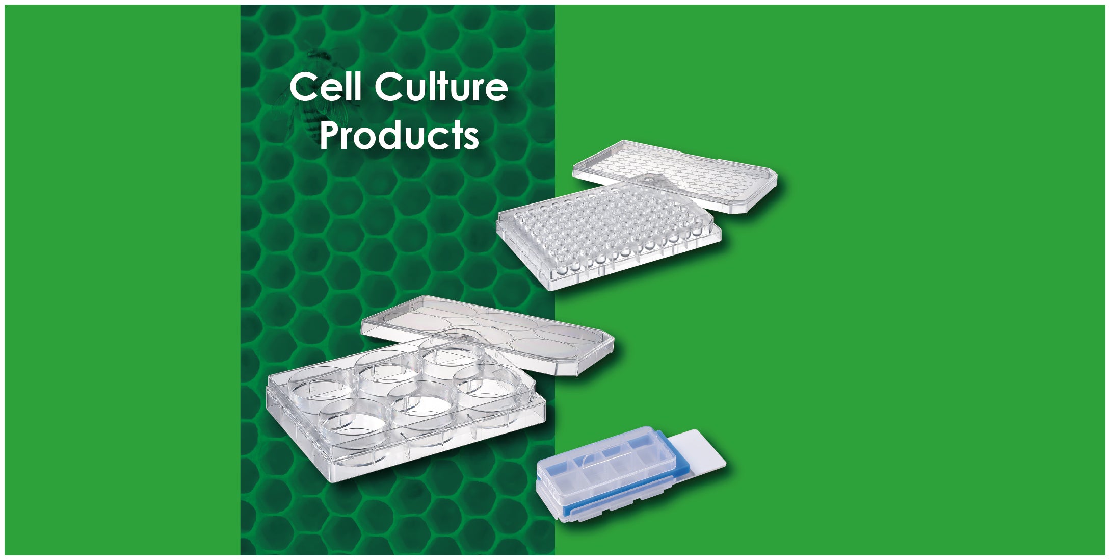 Cell Culture Products