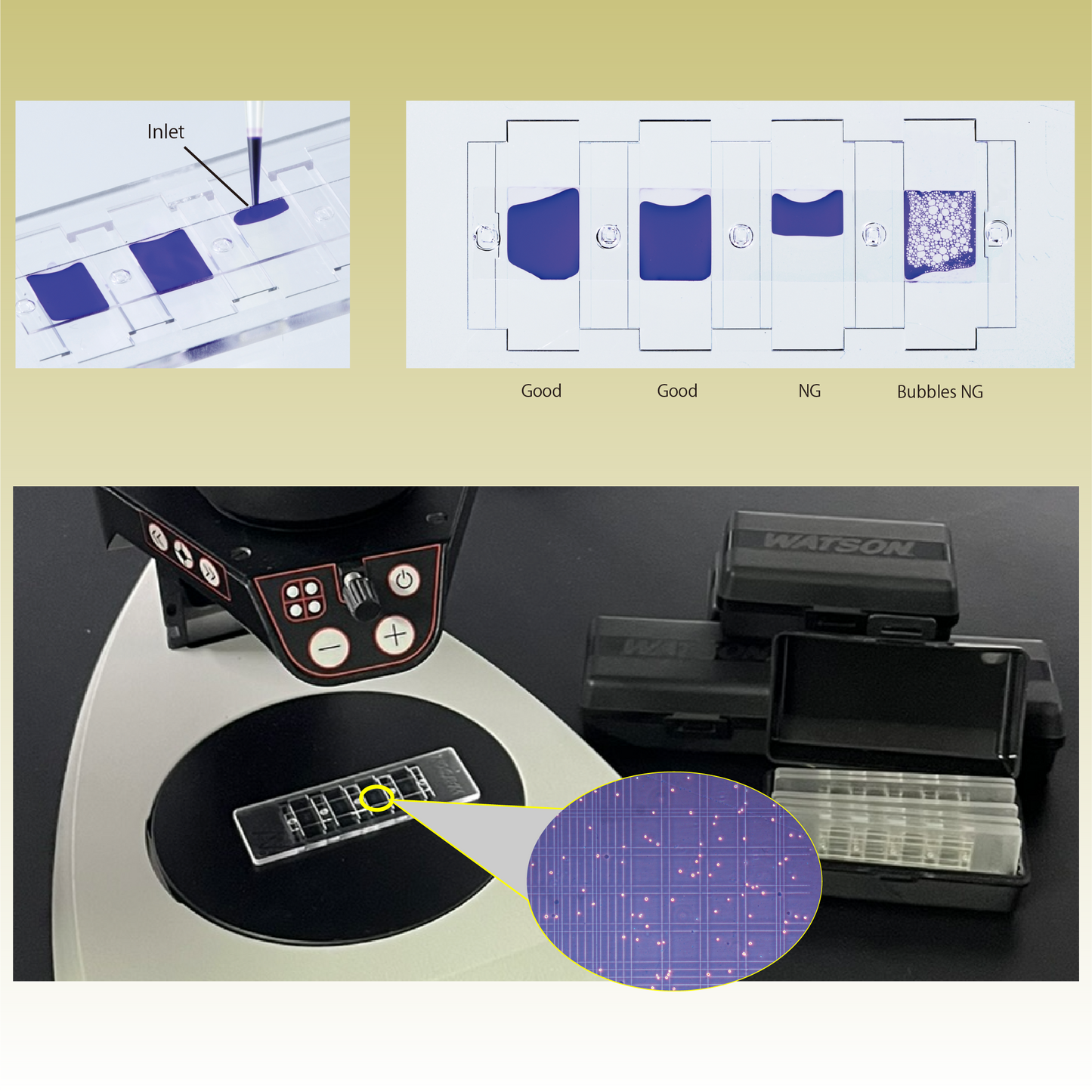 Disposable Hemacytometer "Cell counting plate", Fuchs Rosenthal Type "177-512C" (10 plates)