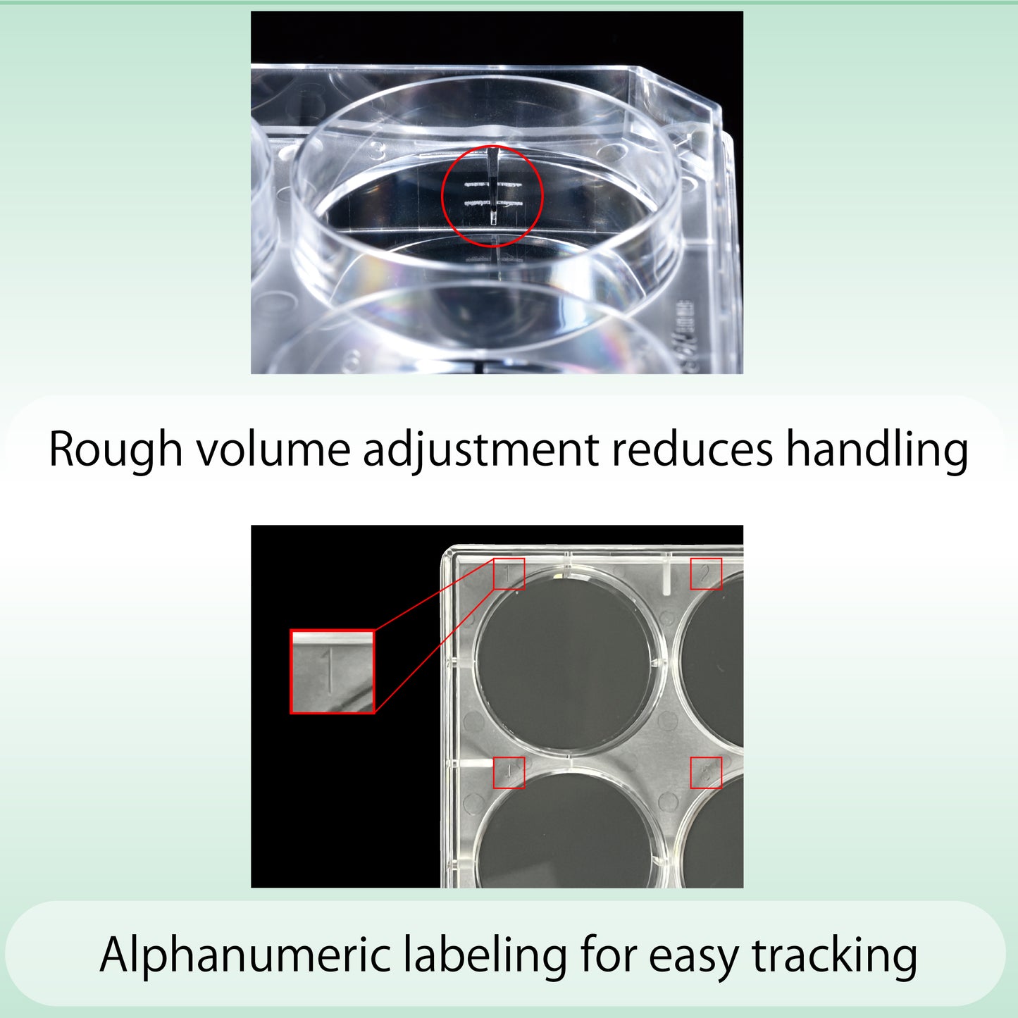Cell Culture Plate 6-well, Adherent Cell, Sterilzed "197-06CPS" (50 pieces)