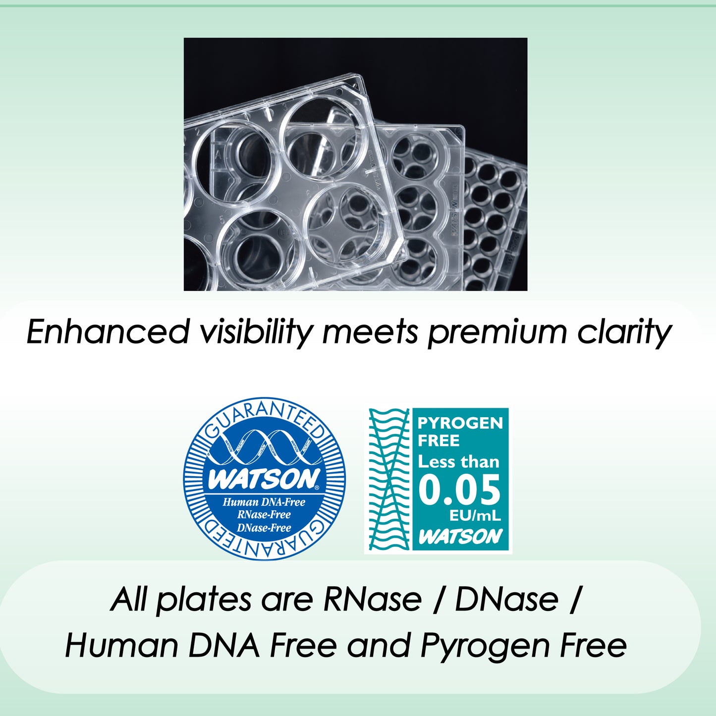 Cell Culture Plate 6-well, Adherent Cell, Sterilzed "197-06CPS" (50 pieces)