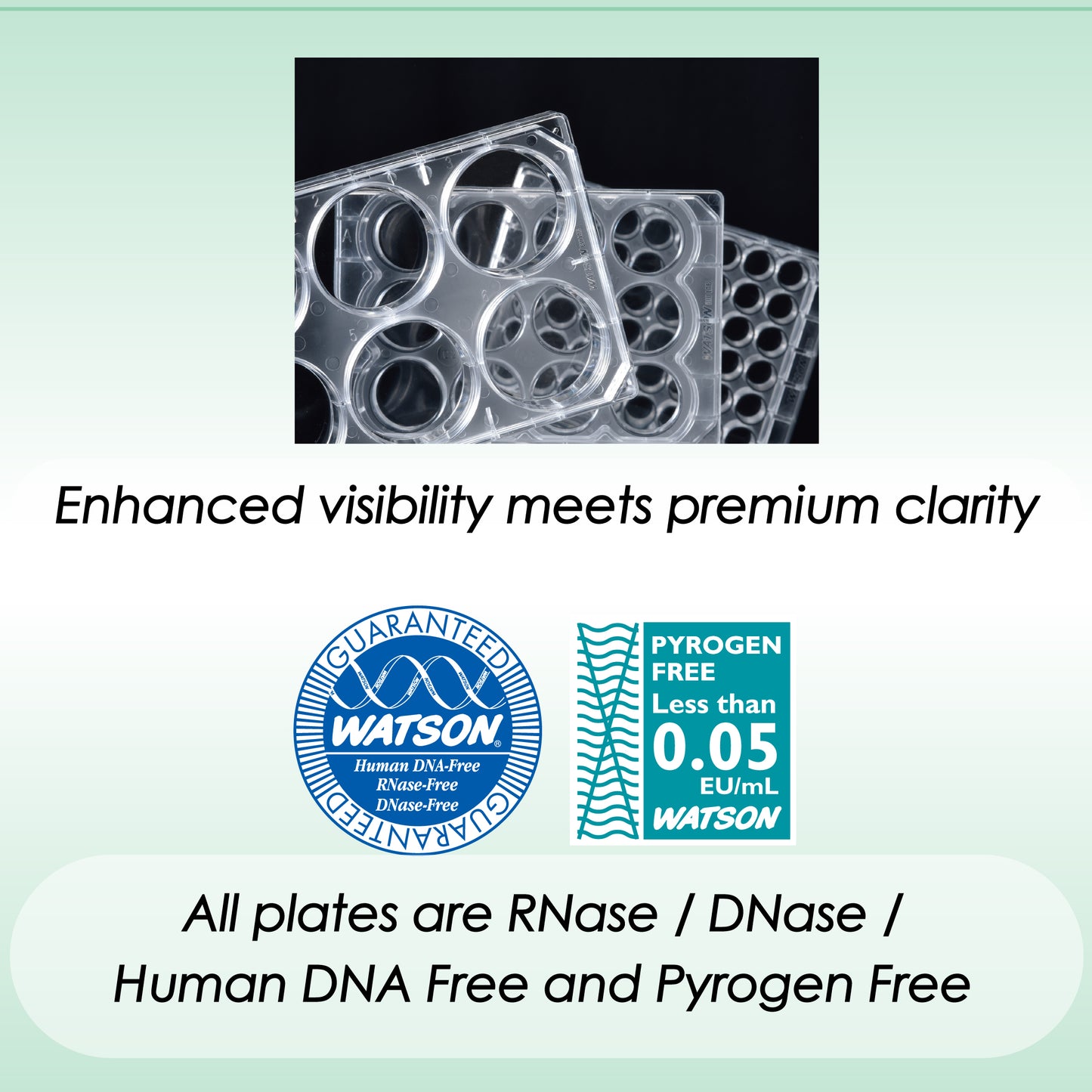 Cell Culture Plate 24-well, Adherent Cell, Sterilzed "197-24CPS" (50 pieces)