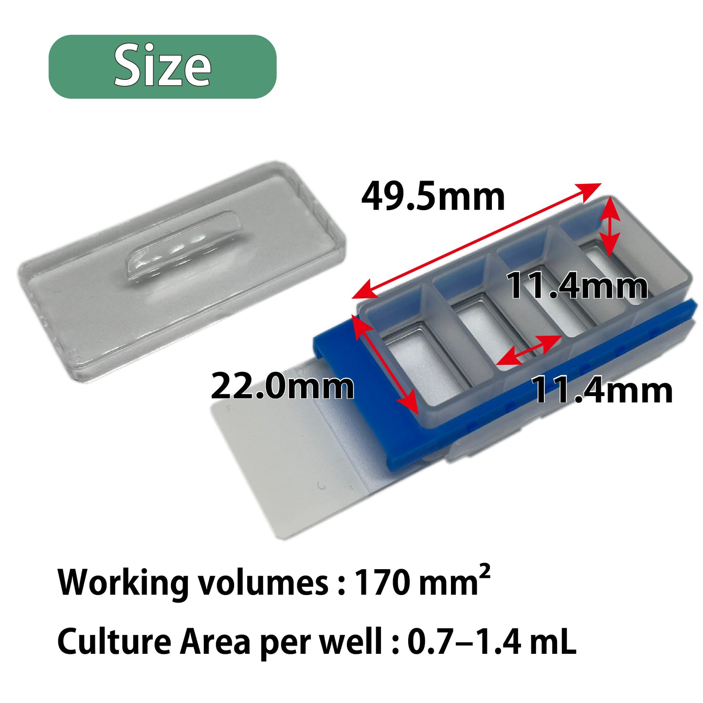Slide & Chamber, 4-well, EOG-Sterilized "192-004" (10 pieces)