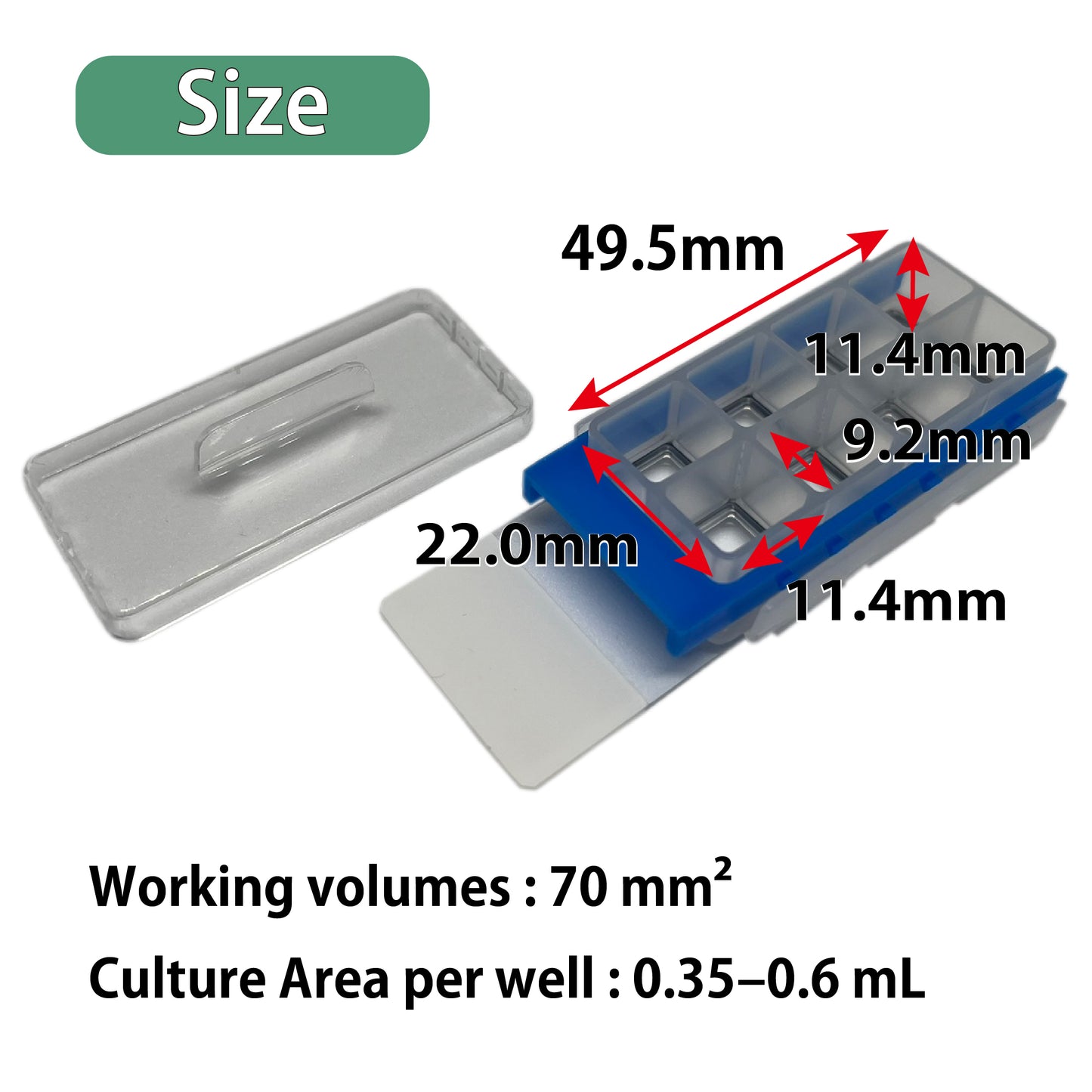 Slide & Chamber, 8-well, EOG-Sterilized "192-008" (10 pieces)