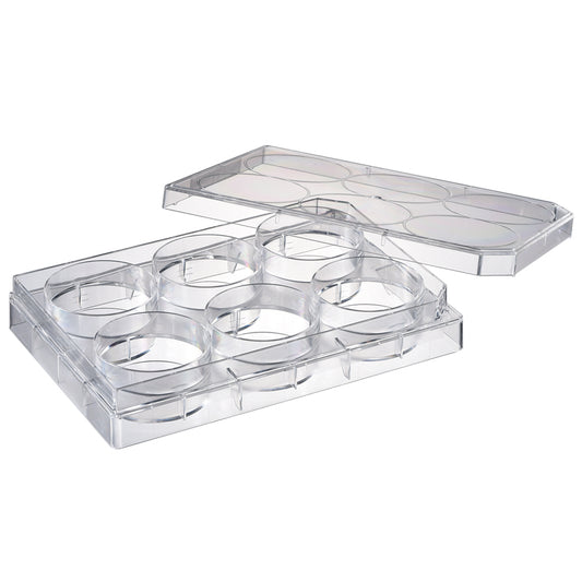 Microplate, 6-well, with Lid, Flat Bottom, Sterilized "196-06FS" (50 pieces)