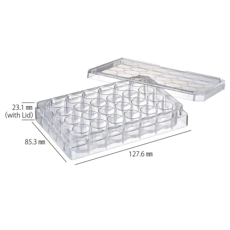 Microplate, 24-well, with Lid, Flat Bottom, Sterilized"196-24FS" (50 pieces)