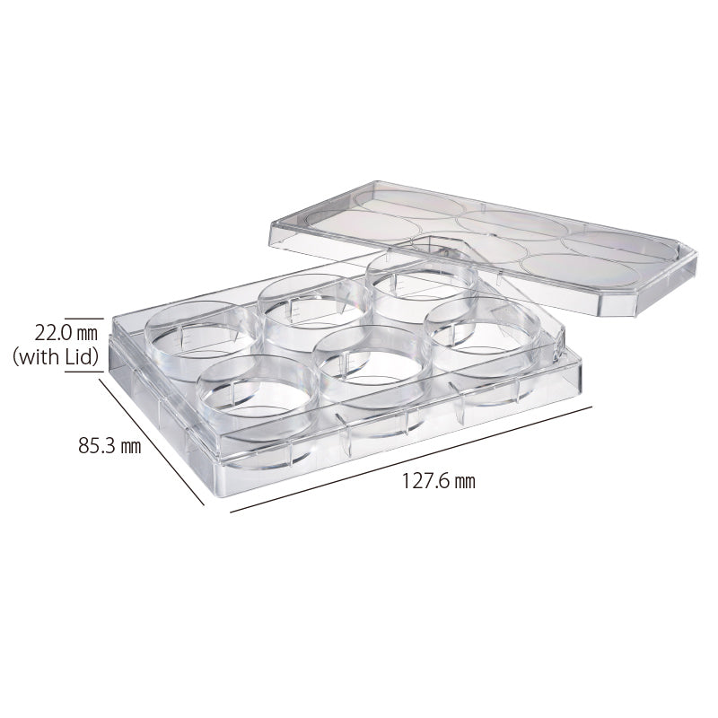 Cell Culture Plate 6-well, Adherent Cell, Sterilzed "197-06CPS" (50 pieces)